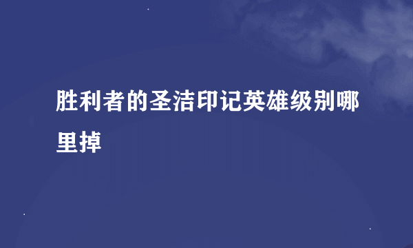 胜利者的圣洁印记英雄级别哪里掉