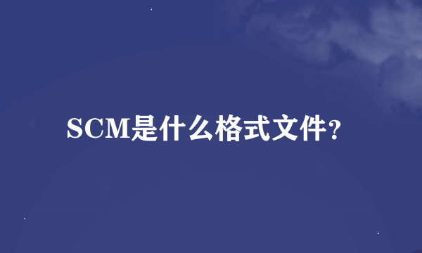 SCM是什么格式文件？