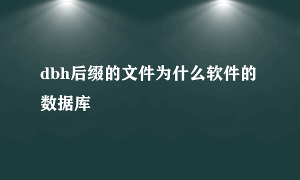 dbh后缀的文件为什么软件的数据库