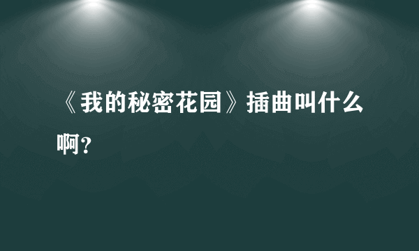 《我的秘密花园》插曲叫什么啊？