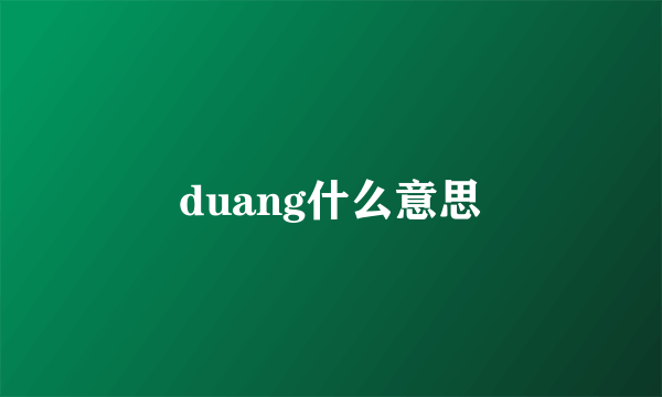 duang什么意思