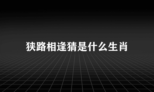 狭路相逢猜是什么生肖