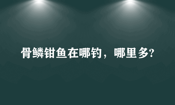 骨鳞钳鱼在哪钓，哪里多?