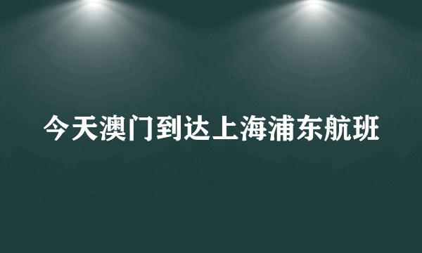 今天澳门到达上海浦东航班