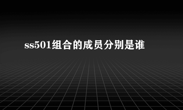 ss501组合的成员分别是谁