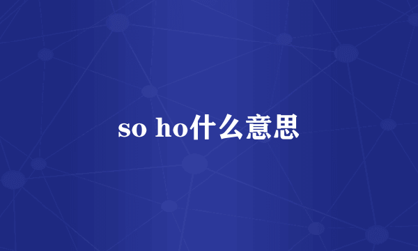 so ho什么意思