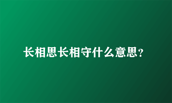 长相思长相守什么意思？