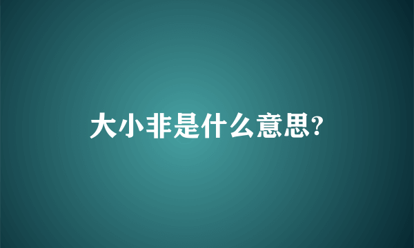 大小非是什么意思?