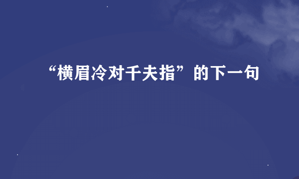 “横眉冷对千夫指”的下一句