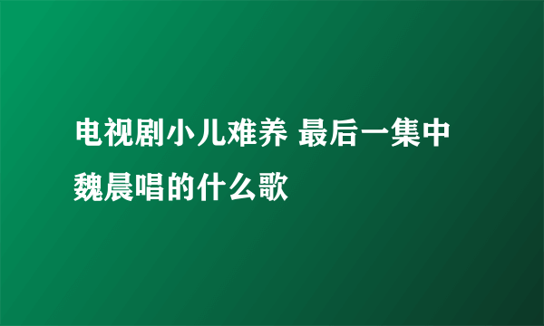 电视剧小儿难养 最后一集中魏晨唱的什么歌