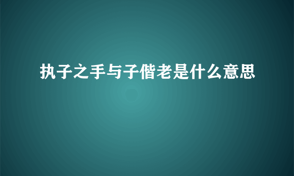 执子之手与子偕老是什么意思