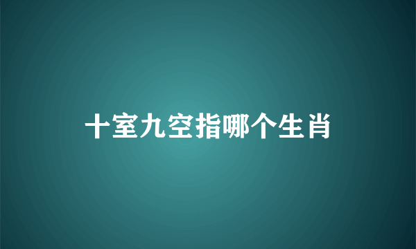 十室九空指哪个生肖