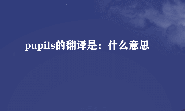 pupils的翻译是：什么意思