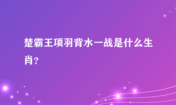 楚霸王项羽背水一战是什么生肖？