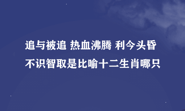 追与被追 热血沸腾 利今头昏 不识智取是比喻十二生肖哪只