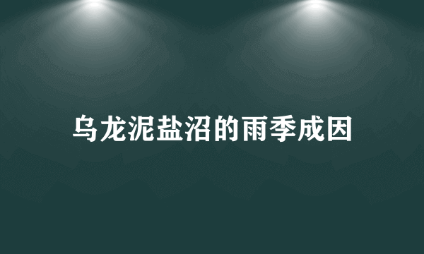 乌龙泥盐沼的雨季成因