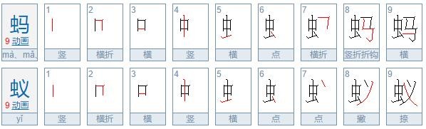 蚂有几个读音加组词