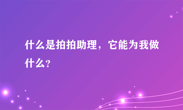 什么是拍拍助理，它能为我做什么？