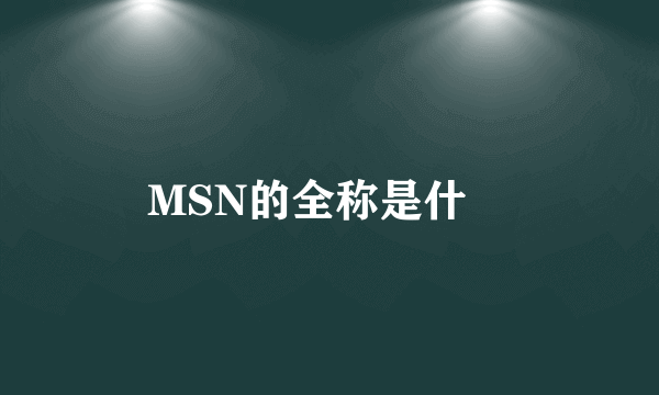 MSN的全称是什麼