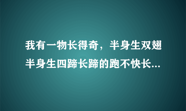 我有一物长得奇，半身生双翅半身生四蹄长蹄的跑不快长翅的飞不起'是什么字