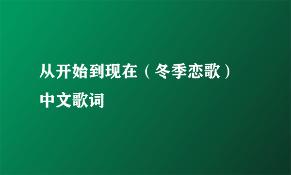 从开始到现在（冬季恋歌） 中文歌词