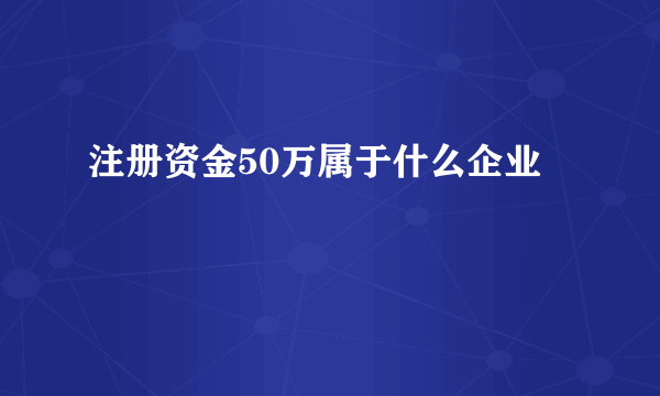 注册资金50万属于什么企业