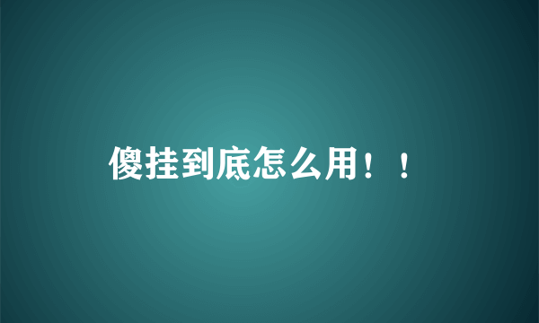 傻挂到底怎么用！！