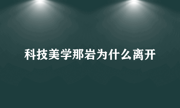 科技美学那岩为什么离开