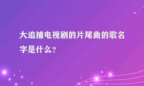 大追捕电视剧的片尾曲的歌名字是什么？