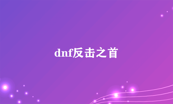 dnf反击之首