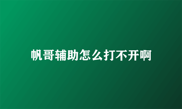 帆哥辅助怎么打不开啊