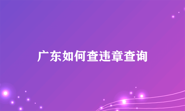 广东如何查违章查询