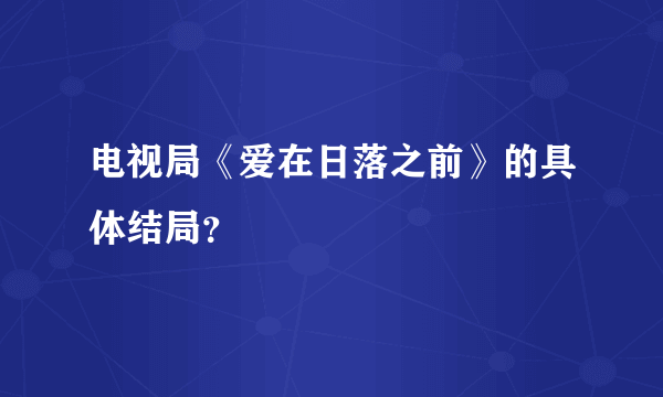 电视局《爱在日落之前》的具体结局？