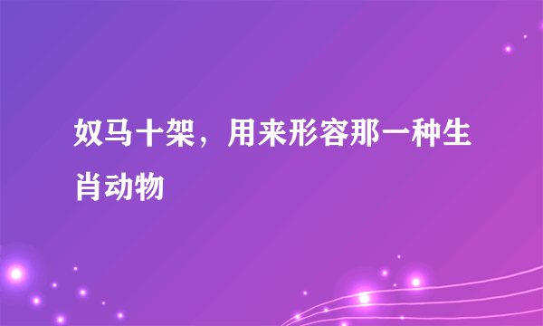 奴马十架，用来形容那一种生肖动物