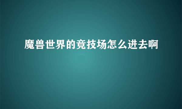 魔兽世界的竞技场怎么进去啊