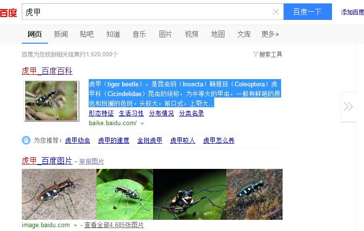 谁知道这个生物叫什么名字？下完雨看见的！