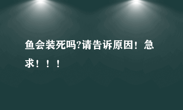 鱼会装死吗?请告诉原因！急求！！！