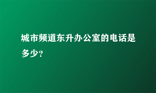 城市频道东升办公室的电话是多少？