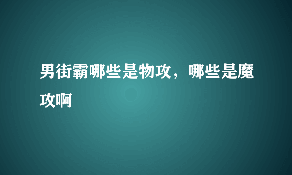 男街霸哪些是物攻，哪些是魔攻啊