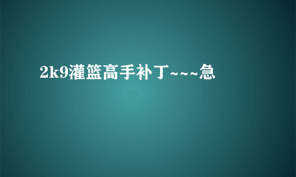 2k9灌篮高手补丁~~~急