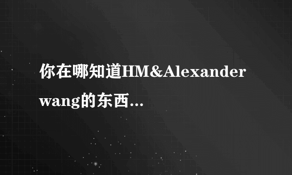 你在哪知道HM&Alexander wang的东西和价位呢