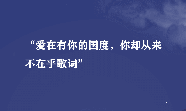 “爱在有你的国度，你却从来不在乎歌词”