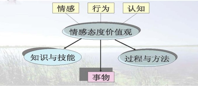 新课程三维目标是什么