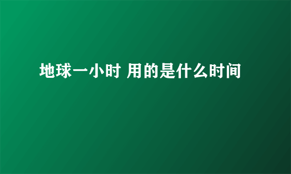 地球一小时 用的是什么时间