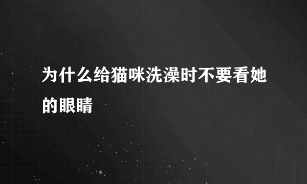 为什么给猫咪洗澡时不要看她的眼睛