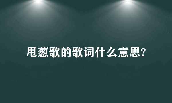 甩葱歌的歌词什么意思?