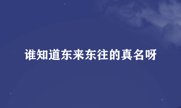 谁知道东来东往的真名呀