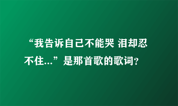 “我告诉自己不能哭 泪却忍不住...”是那首歌的歌词？