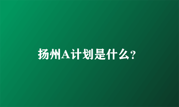 扬州A计划是什么？