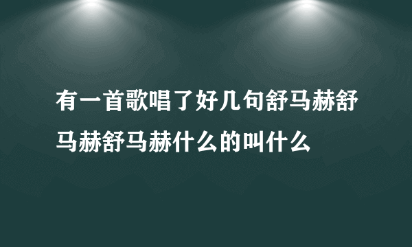 有一首歌唱了好几句舒马赫舒马赫舒马赫什么的叫什么